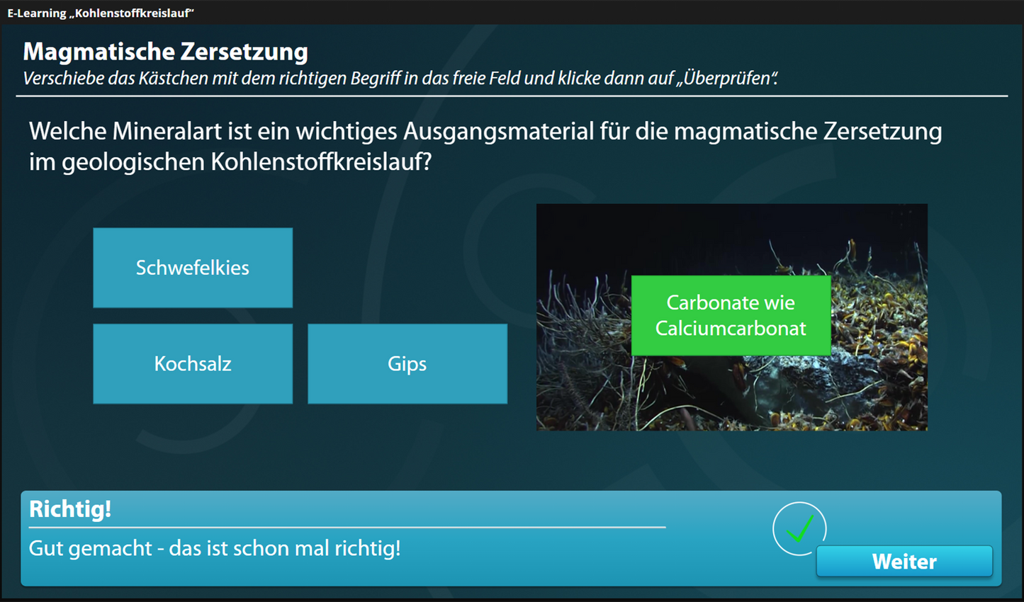 Kohlenstoffkreislauf - Ein interaktiver Onlinekurs