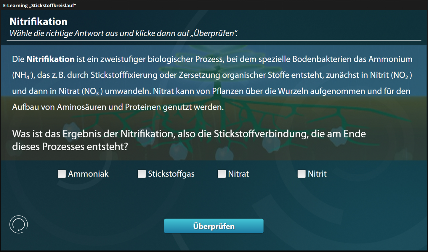 Stickstoffkreislauf - Ein interaktiver Onlinekurs