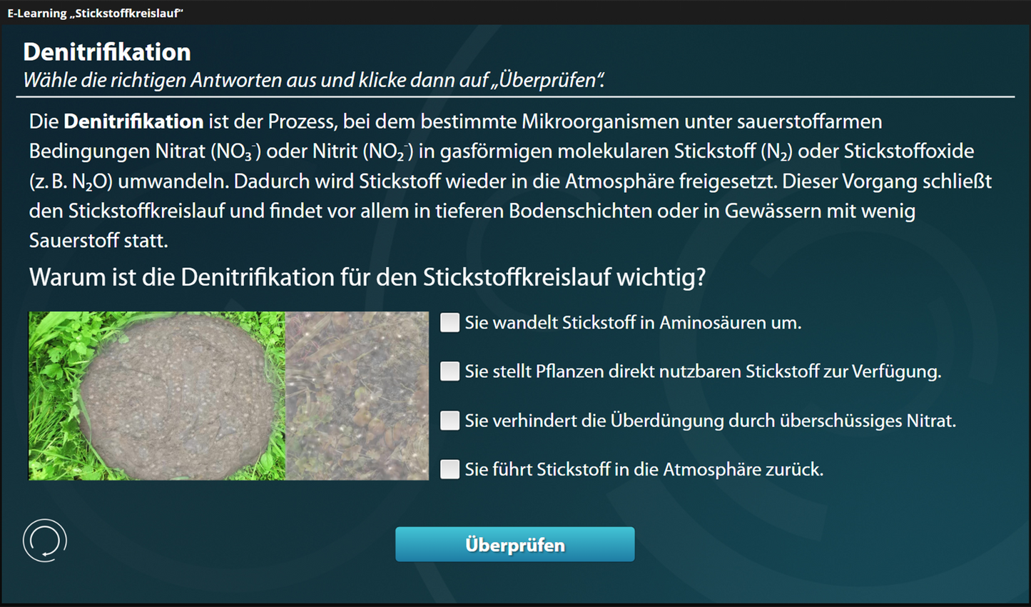 Stickstoffkreislauf - Ein interaktiver Onlinekurs