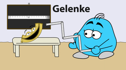 Erklär mir die Gelenke