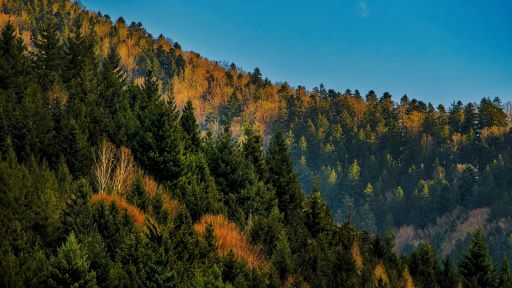 Nationalparks in Deutschland